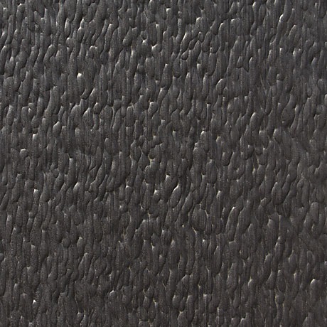 Medula